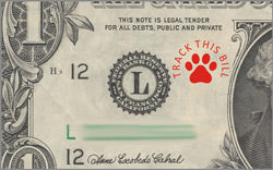 Paw Track Design // Self Inking Stamp // 8 Ink Color Options