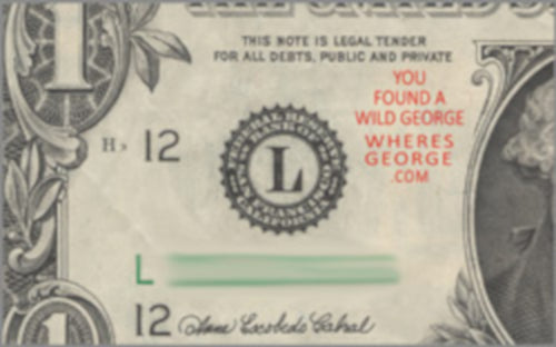 Wild George + URL Design 🌳 // Xstamper Stamp Construction, 11 Color Options